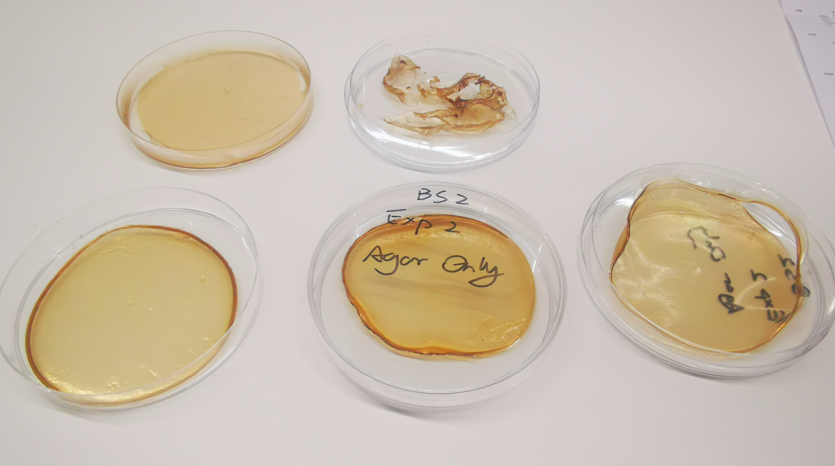Bioplastic samples
