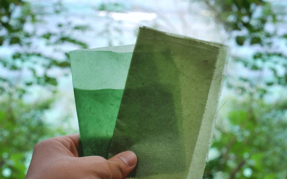 Edible & Dissolvable Films