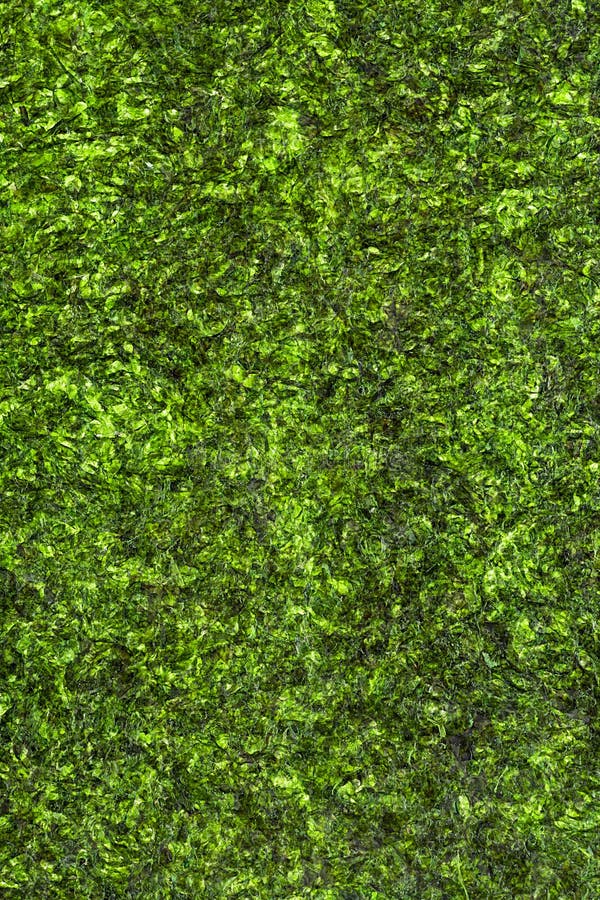 Seaweed texture